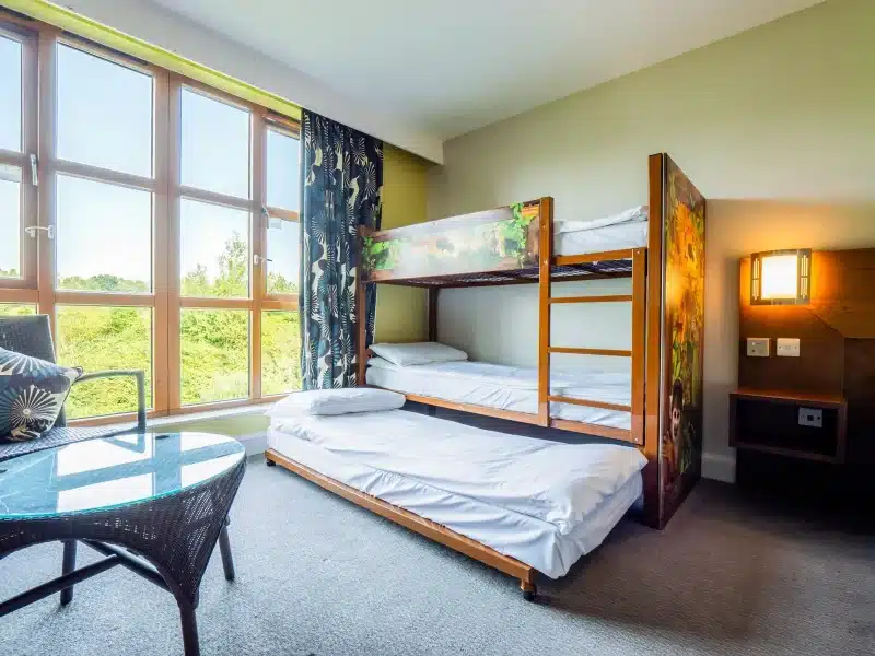 Bright room with bunk beds and scenic window view.