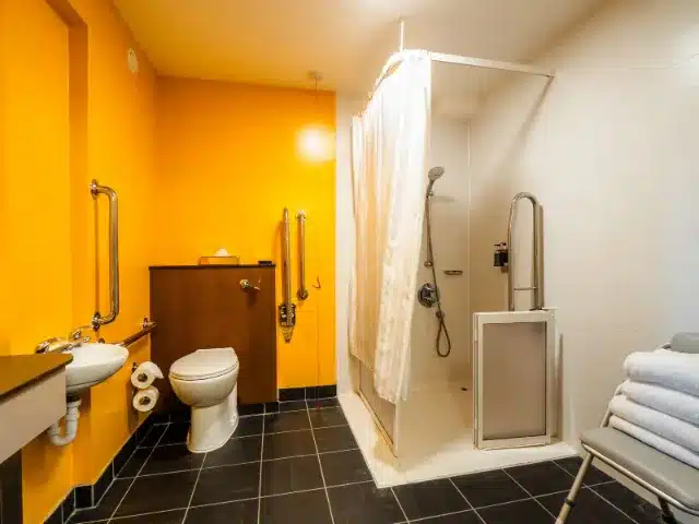 Accessible bathroom with shower, toilet, and safety handles.