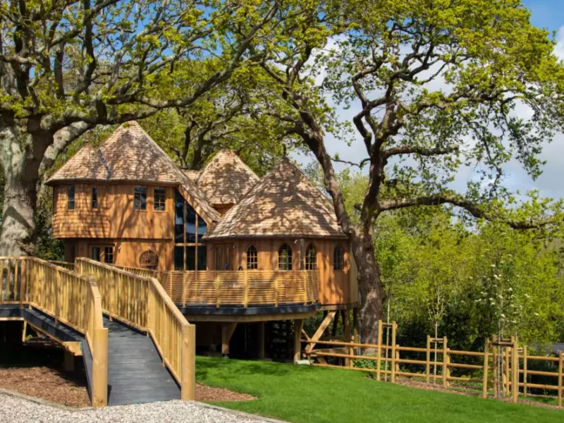 Wooden treehouse with ramp amidst lush greenery.