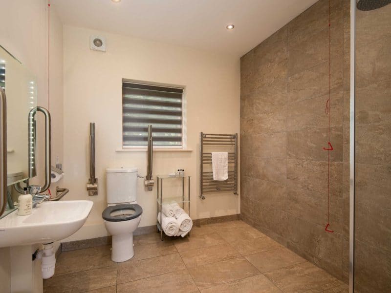 Modern accessible bathroom with shower and safety bars.