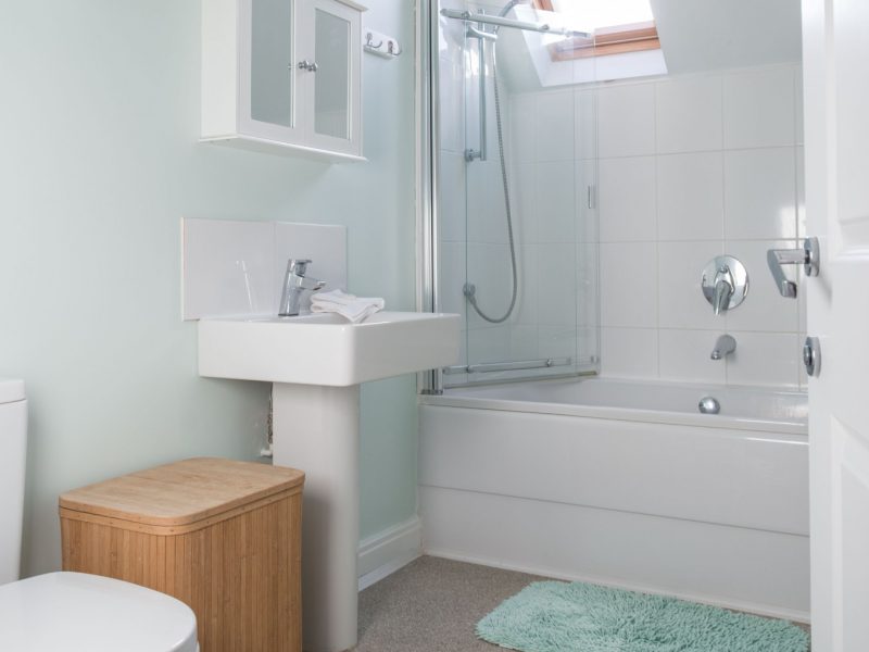 Modern bathroom with shower, skylight, and pastel colors.