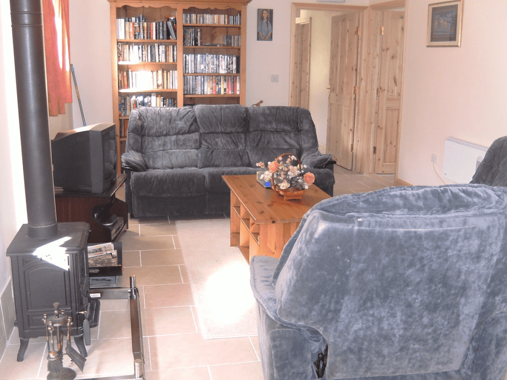 Cozy living room with sofas, bookshelf, and wood stove.