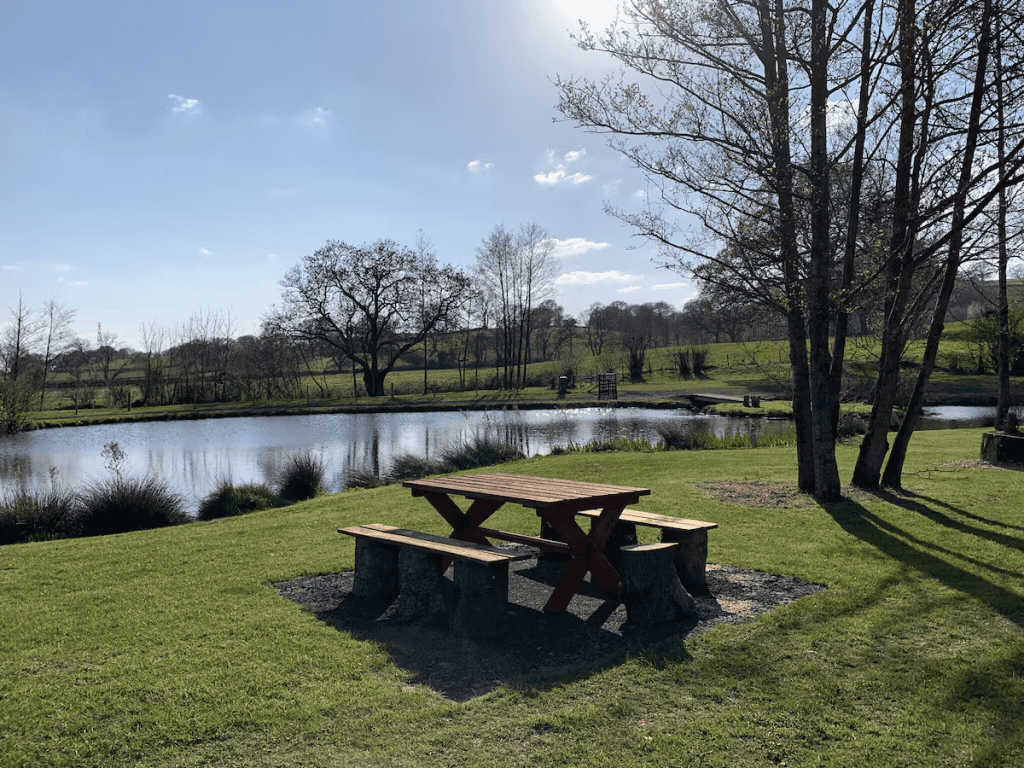 Sunny park with picnic table by tranquil pond