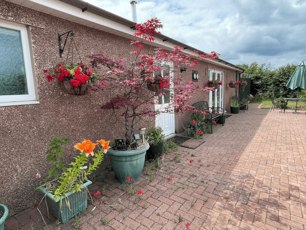 Colorful house entrance adorned with vibrant flowers