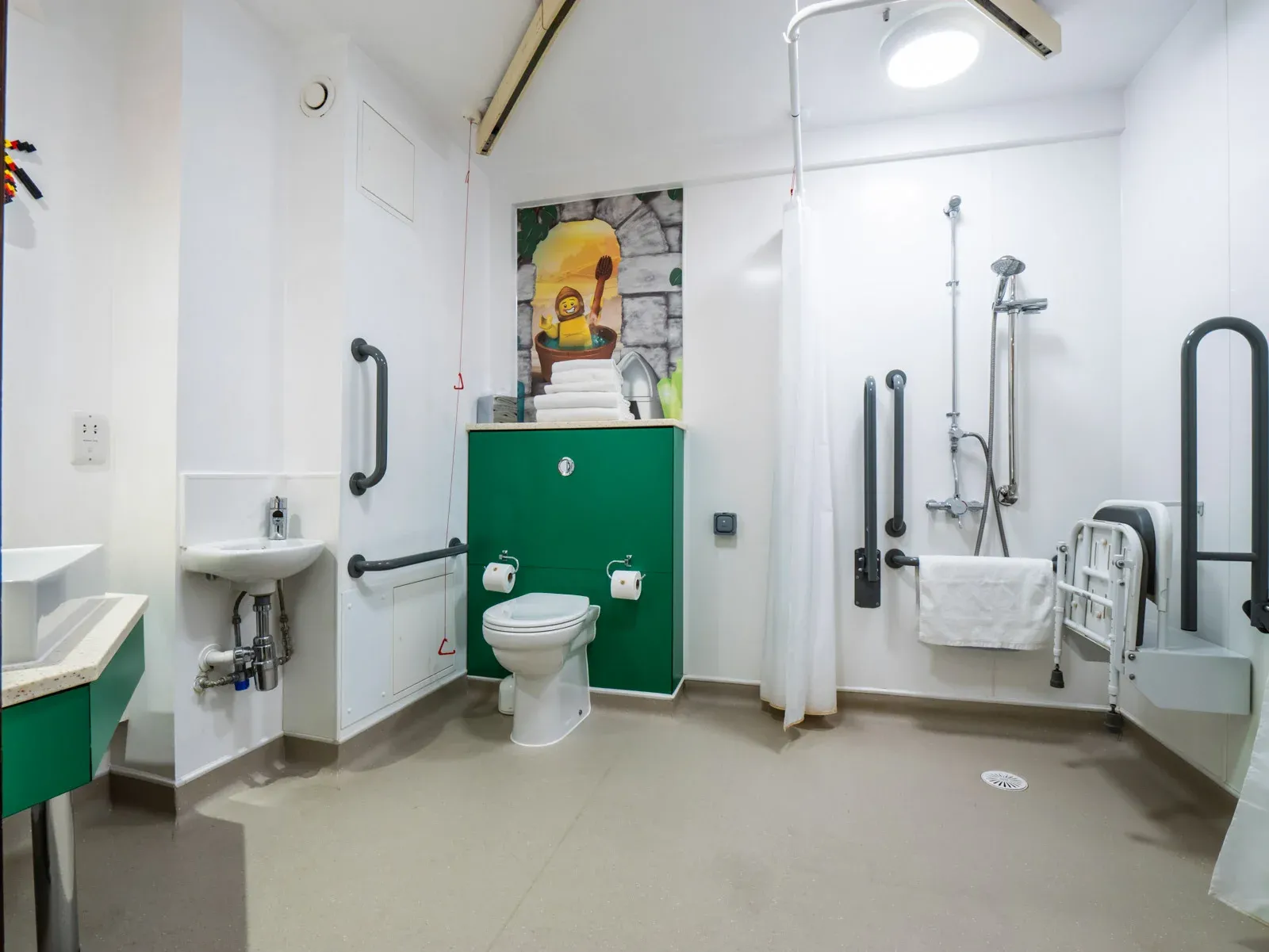 Accessible bathroom with grab bars and open shower area