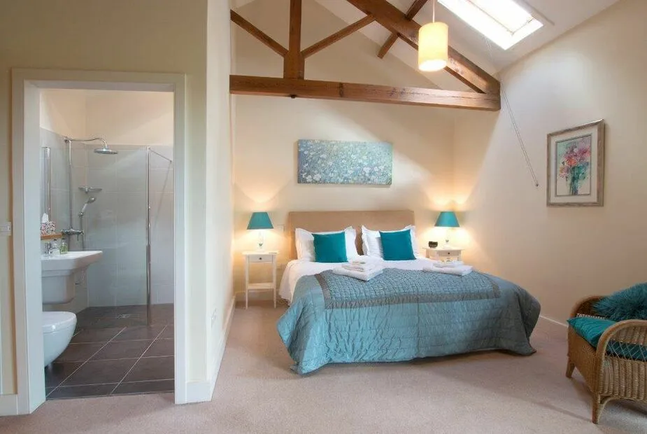 Bright open bedroom with en-suite bathroom and skylight