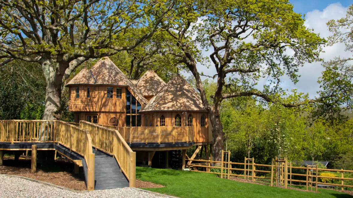 Wooden treehouse structure amid lush greenery