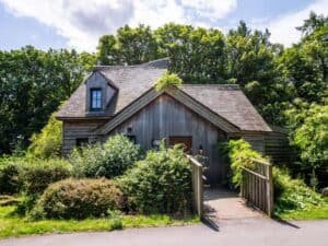 Rustic wooden cabin surrounded by lush greenery and bridge