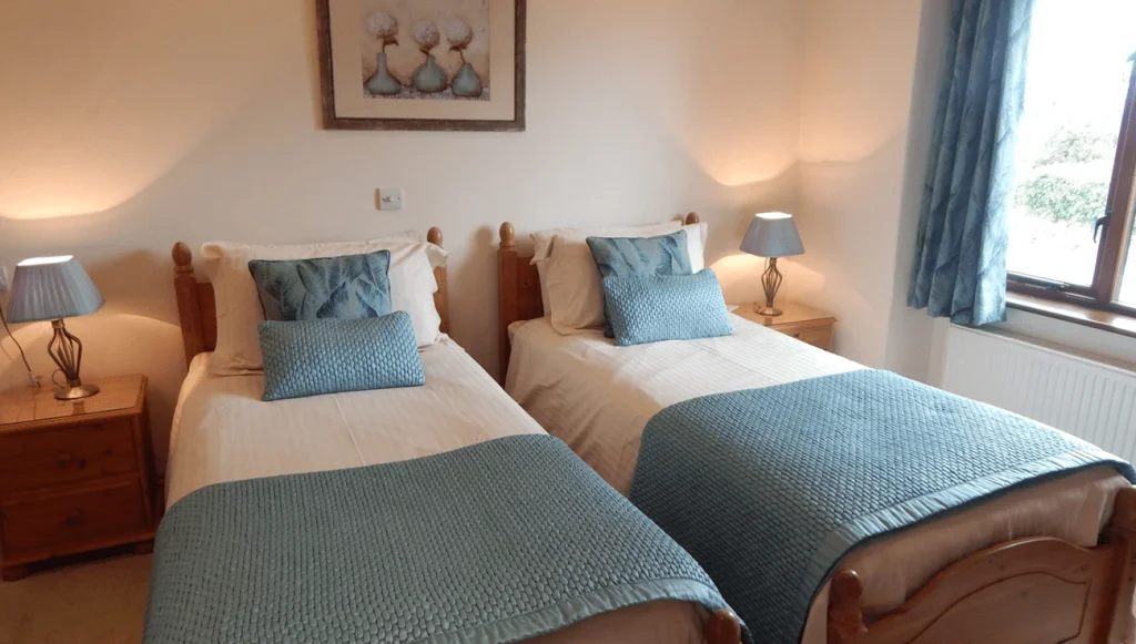 Twin wooden beds with blue bedding in cozy room