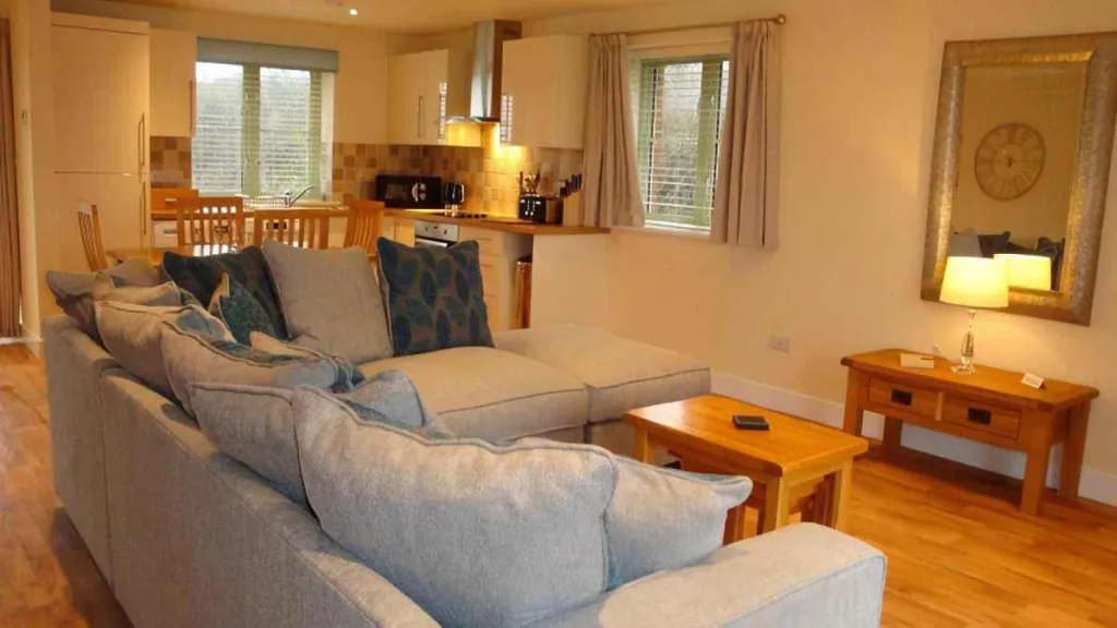 Cozy living room with sofa, kitchen area, and wooden floors