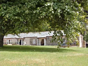 Rustic stone cottage nestled under lush green trees