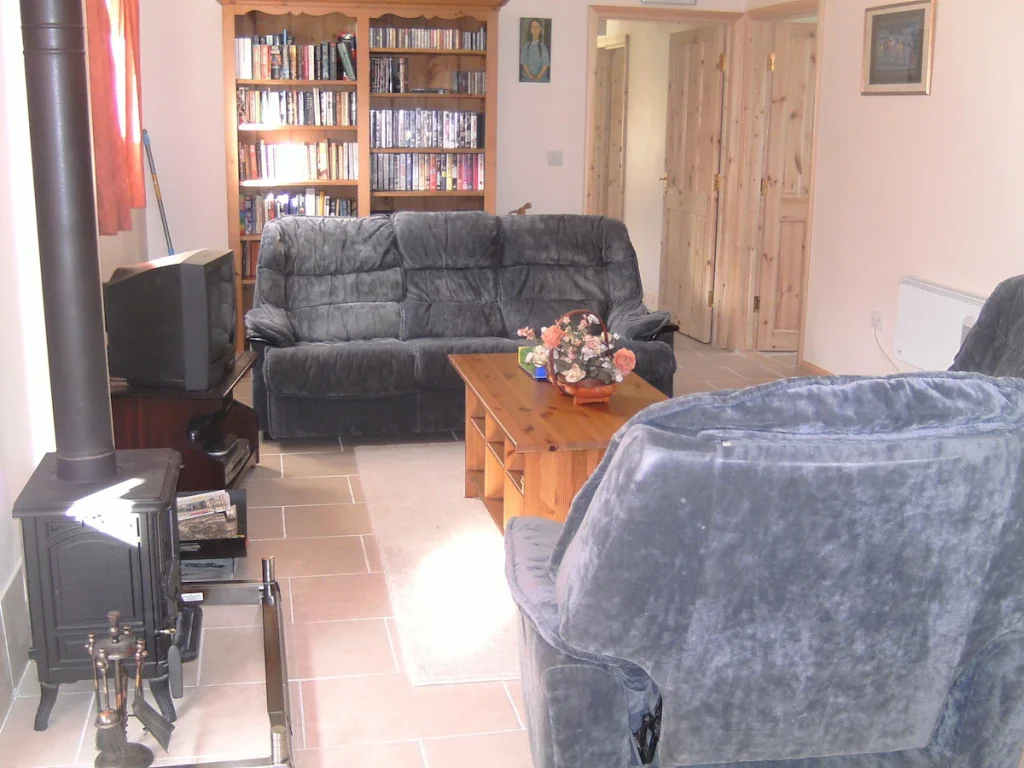 Cozy living room with sofas, bookshelf, and fireplace