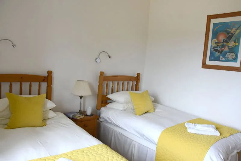 Bright twin bedroom with yellow accents and wooden furniture