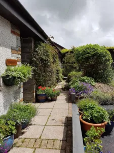 Cottage pathway lined with vibrant potted plants