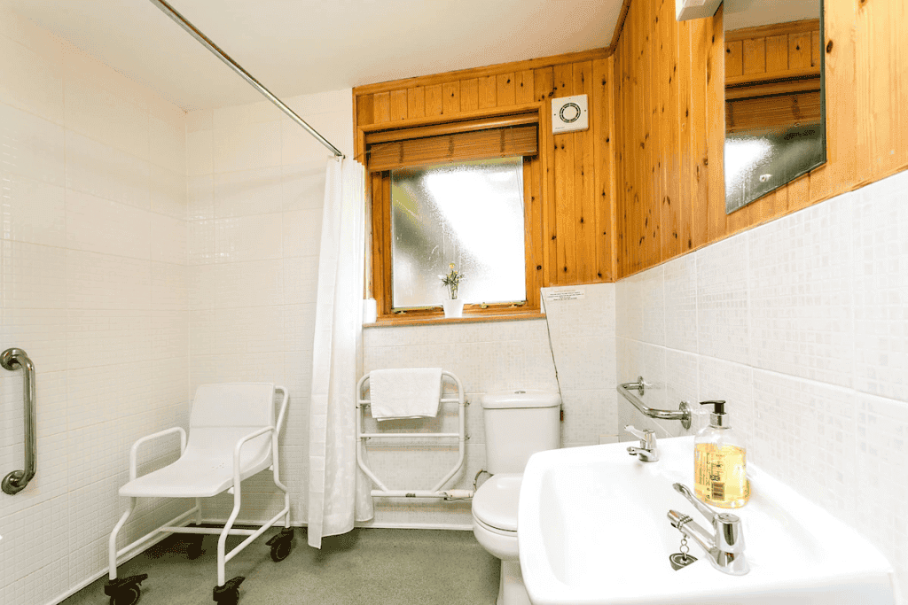 Accessible bathroom with shower chair and safety handles