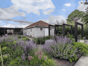 Lush garden with lavender, house, and modern pergola