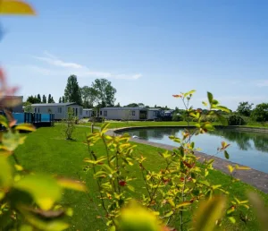 Scenic mobile homes by tranquil lake in sunny park