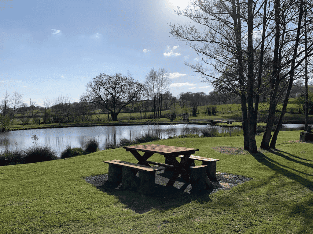 Serene park with pond, picnic table, and trees