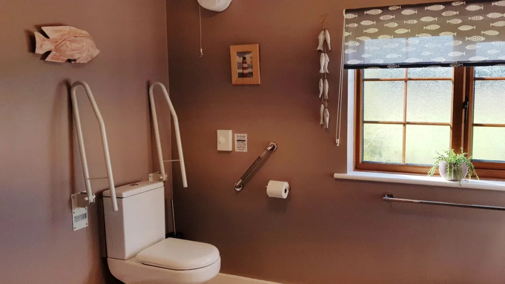 Accessible bathroom with toilet aids and decorative elements