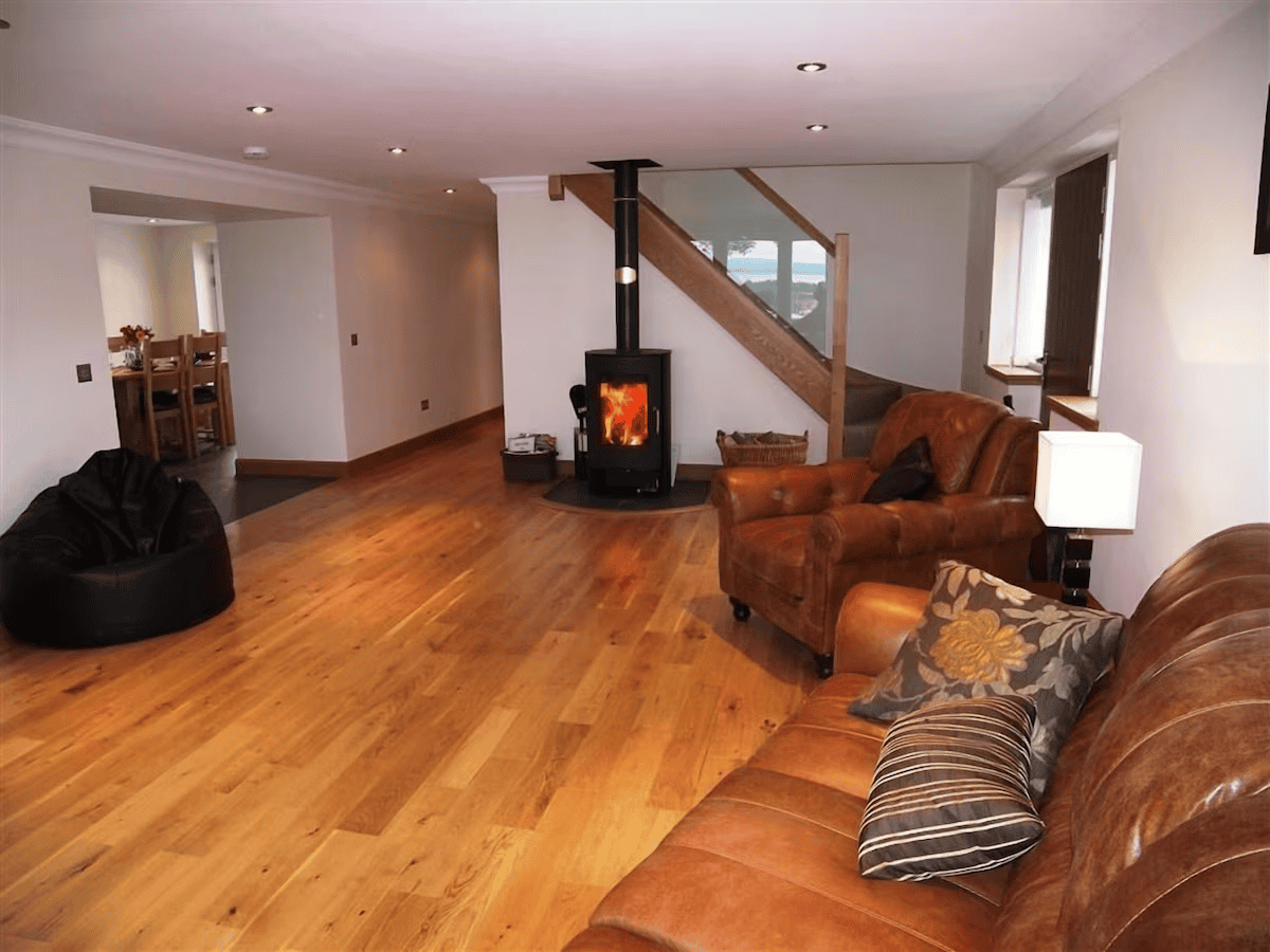 Cozy living room with fireplace and leather sofas