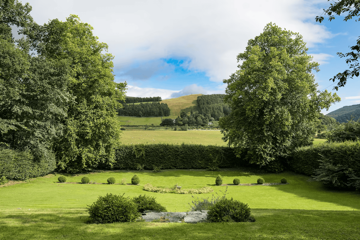 Scenic lush green landscape with trees and hills