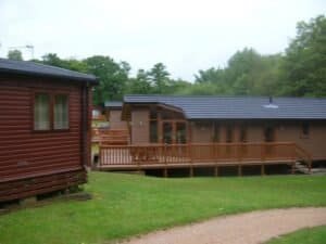 Wooden cabins with decks in a forest setting