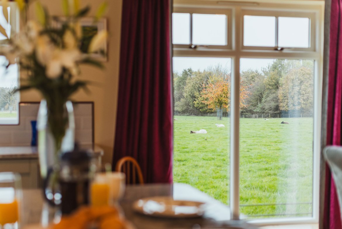 View of pasture and trees through window.