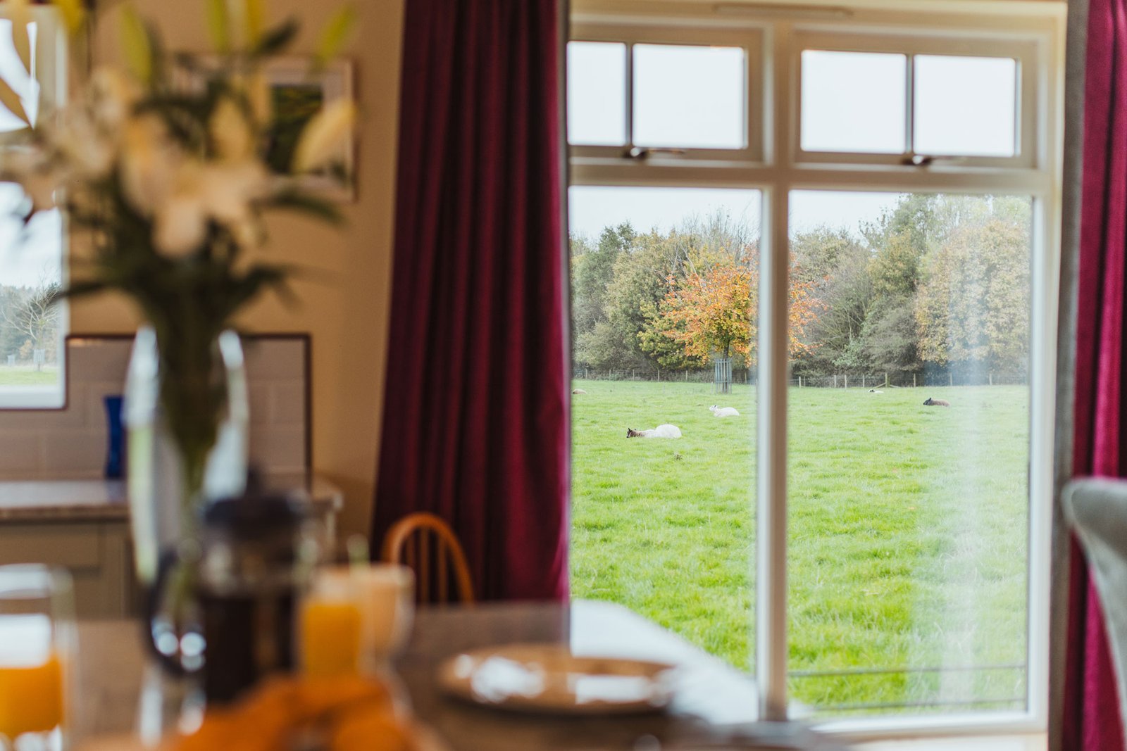 View of pasture and trees through window.