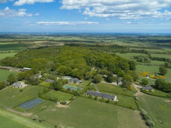 Aerial view of countryside estate with fields and trees.