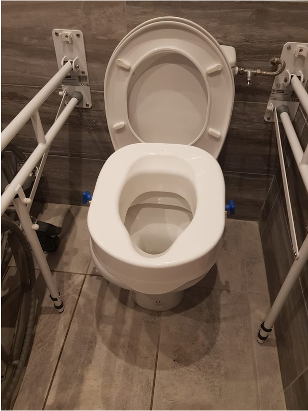 Accessible toilet with support bars.