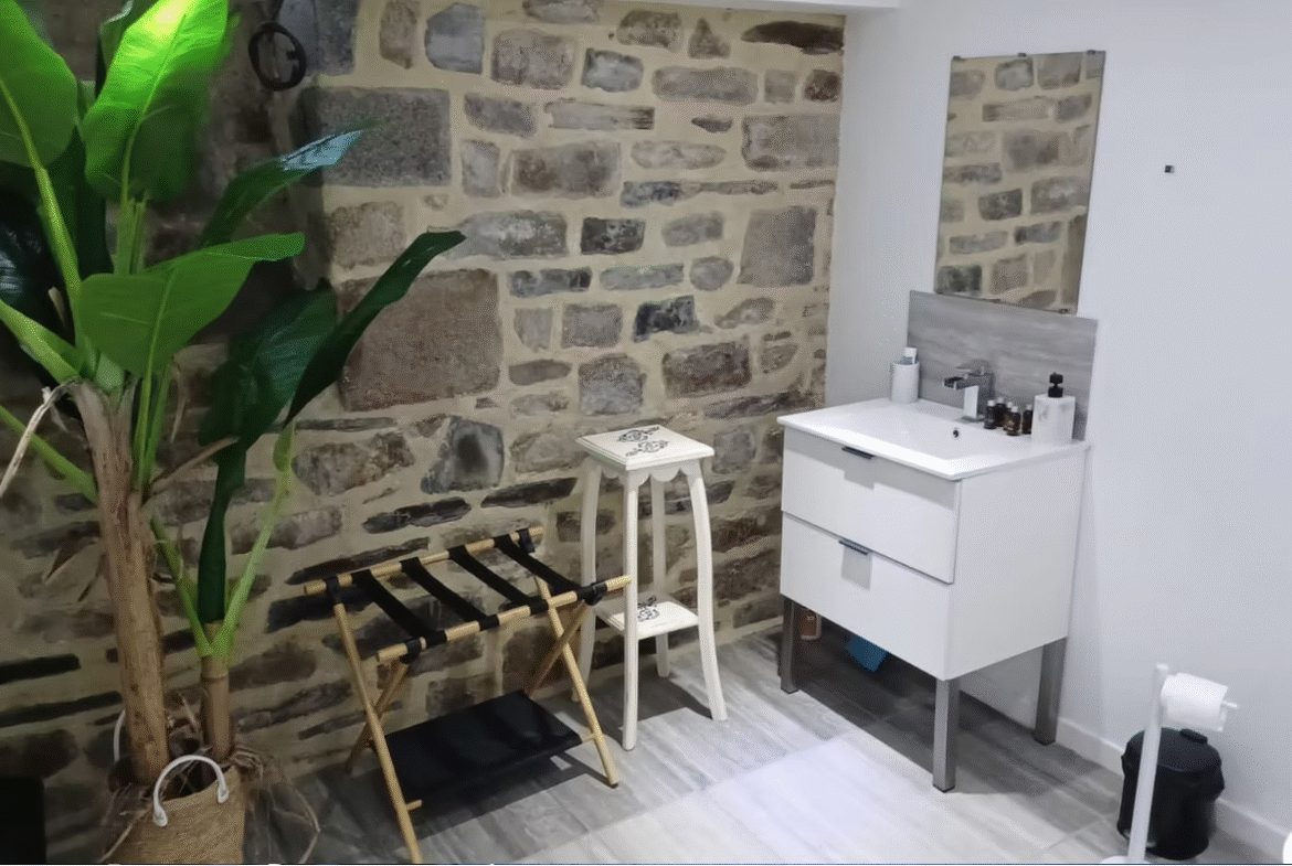 Modern bathroom with stone wall and plants.