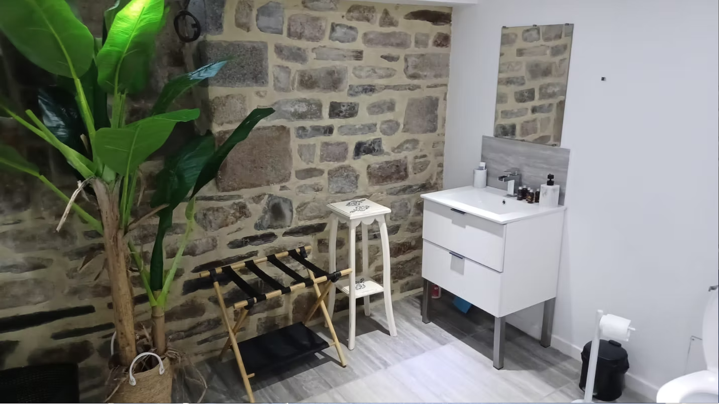 Modern bathroom with stone wall and plants.