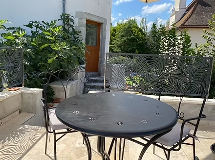 Sunny patio with metal table and green plants.
