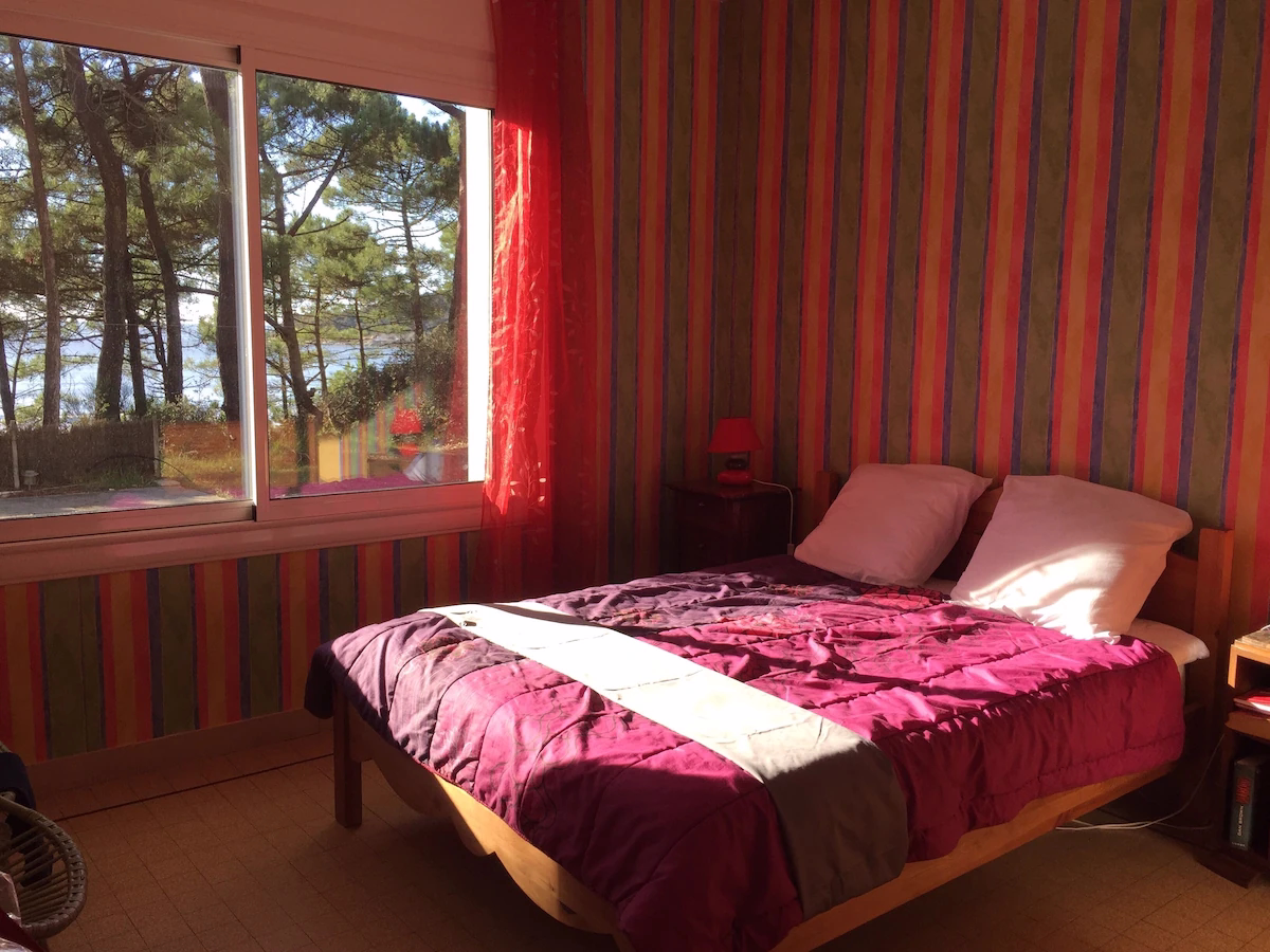 Colourful bedroom with forest view through window.