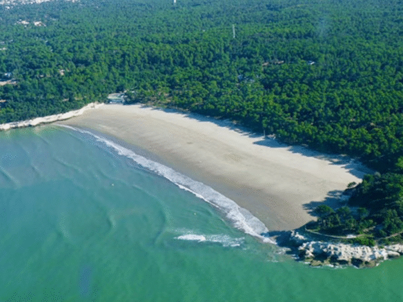 Aerial view of sandy beach and lush forest.