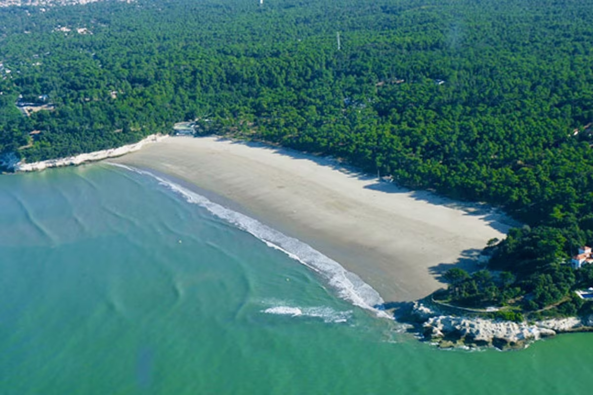 Aerial view of sandy beach and lush forest.