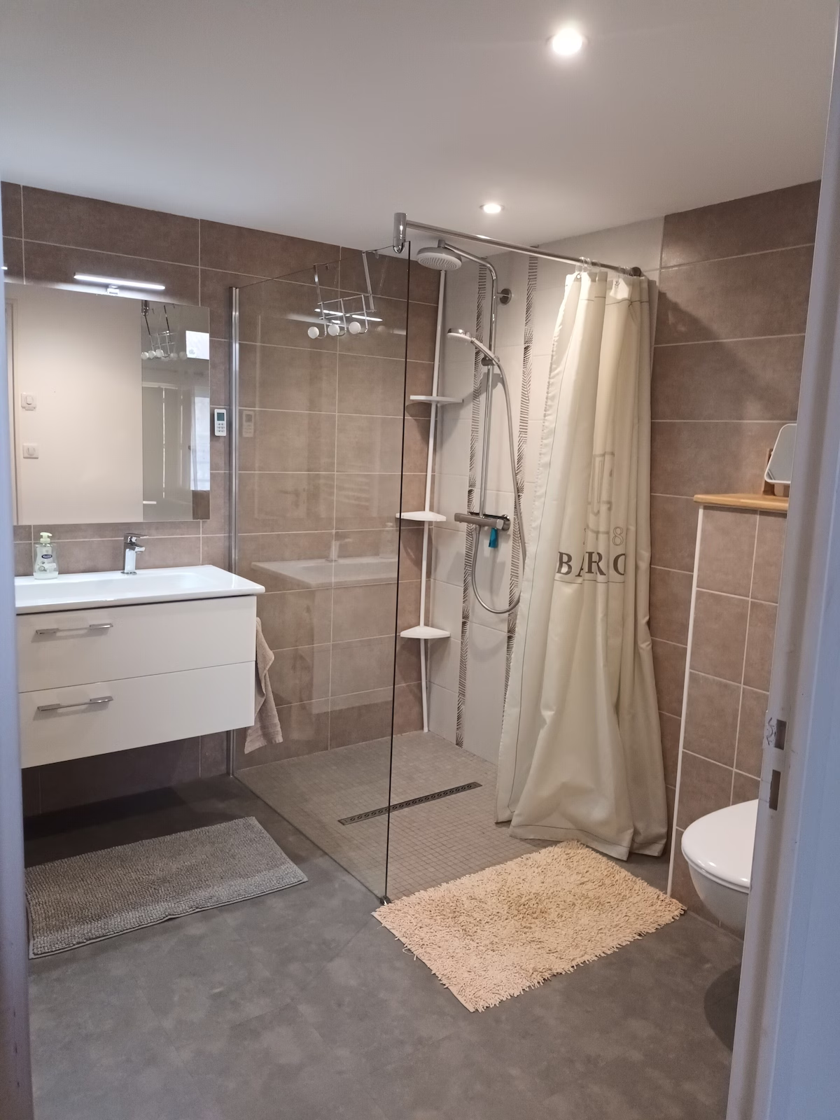 Modern bathroom with shower and sink.