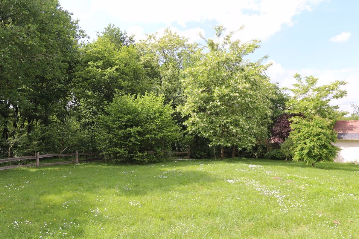 Green garden with trees and wooden fence.