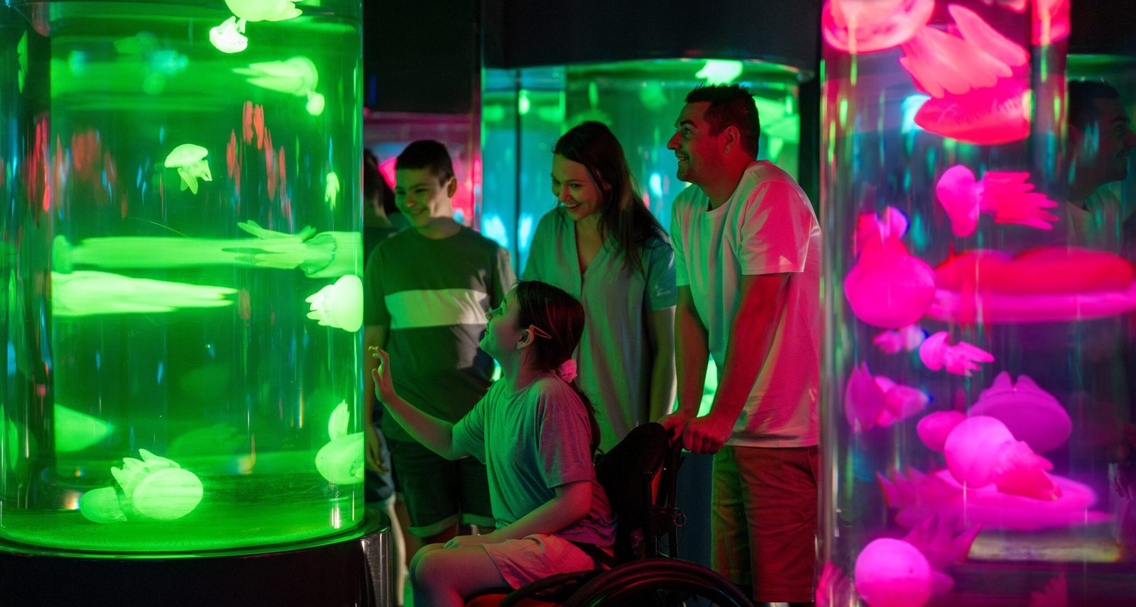 SEA LIFE jellyfish tanks in a low-lit aquarium environment